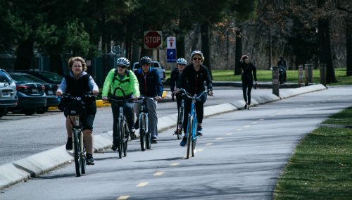 World Bicycle Day photo