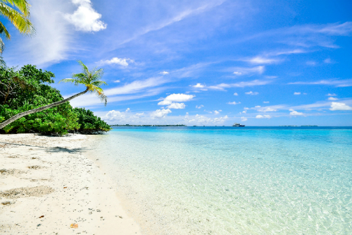 Beach Calm